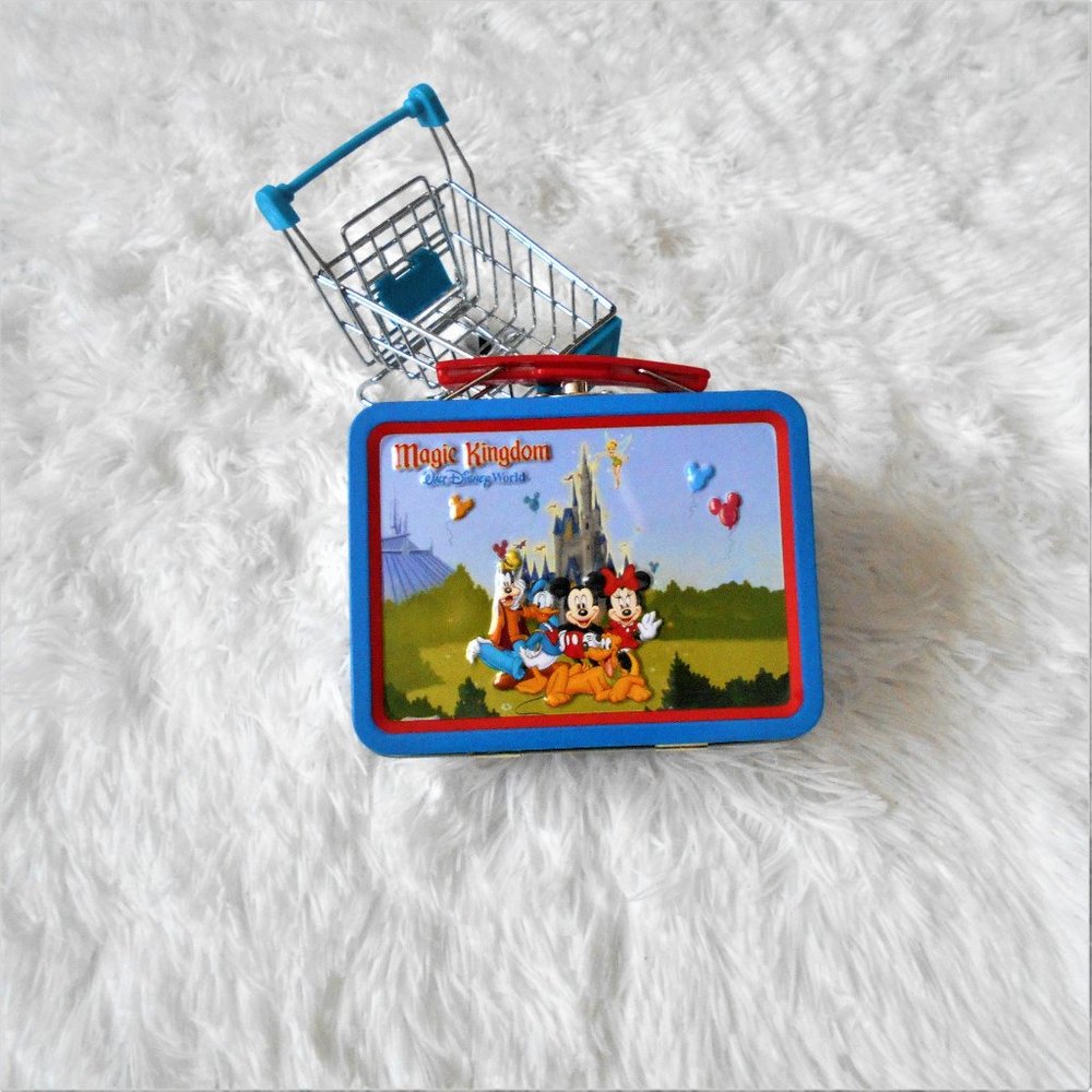 Walt Disney World Animal Kingdom Mini Lunch Box